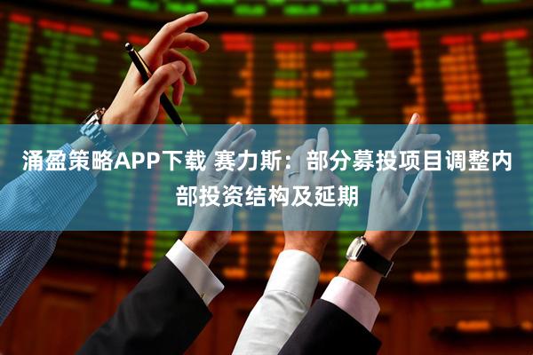 涌盈策略APP下载 赛力斯：部分募投项目调整内部投资结构及延期